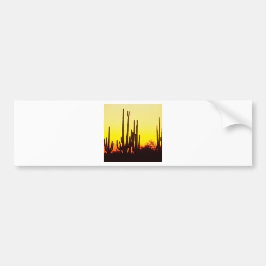 Sunset Saguaro Cactus Bumpersticker (Voorkant)
