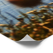 Sunset Sailing Poster (Hoek)