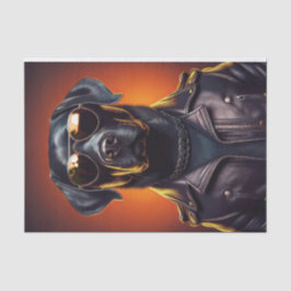 Sunset Sam, Biker Black Lab in Leren Jas Tissuepapier