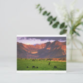 Sunset San Juan Mts CO Briefkaart (Staand voorkant)