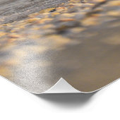 Sunset Sanderling Foto Afdruk (Hoek)