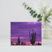 Sunset, Scottsdale, Arizona Briefkaart (Staand voorkant)