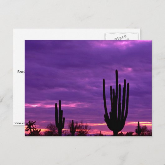 Sunset, Scottsdale, Arizona Briefkaart (Voorkant / Achterkant)