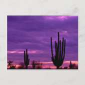 Sunset, Scottsdale, Arizona Briefkaart (Voorkant)