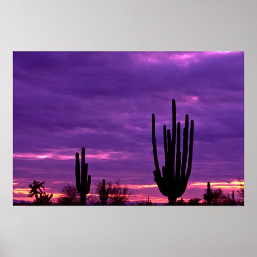 Sunset, Scottsdale, Arizona Poster (Voorkant)