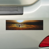 Sunset Seagull Bumpersticker (Op auto)