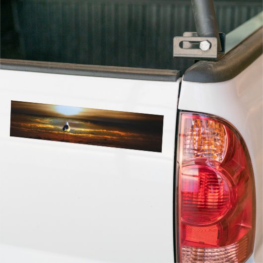 Sunset Seagull Bumpersticker (Op Truck)