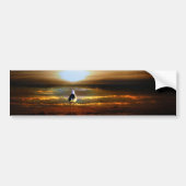 Sunset Seagull Bumpersticker (Voorkant)