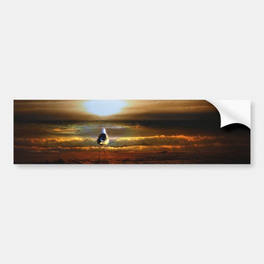 Sunset Seagull Bumpersticker (Voorkant)