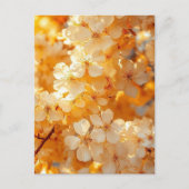 Sunset Serenity" Landscape Art Postcard | Premium Briefkaart (Voorkant)