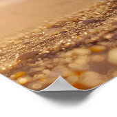 Sunset Serenity: Seashell aan de kust Poster (Hoek)