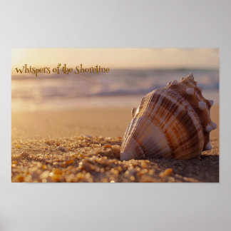 Sunset Serenity: Seashell aan de kust Poster