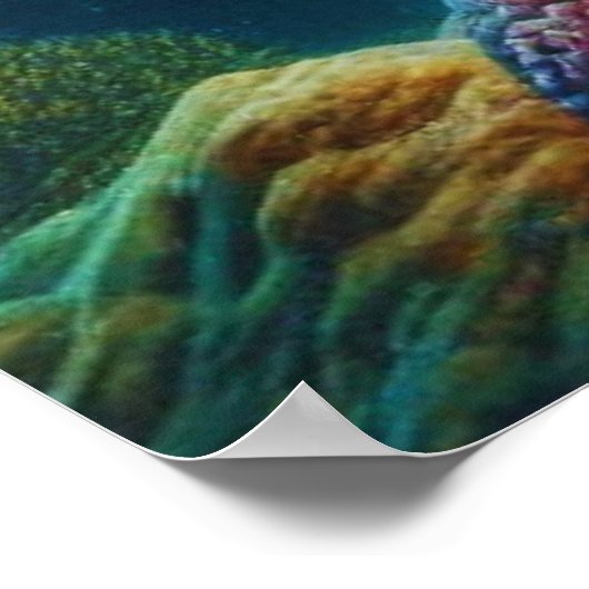 Sunset Serenity Zee Turtle en Coral Reef Poster (Hoek)