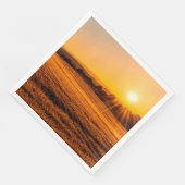 Sunset Servet (Hoek)