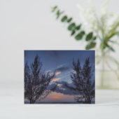 Sunset Seven Mile Beach Cayman Islands Briefkaart (Staand voorkant)
