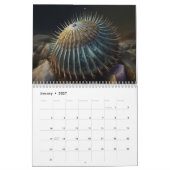 Sunset Shore Kalender (Jan 2027)