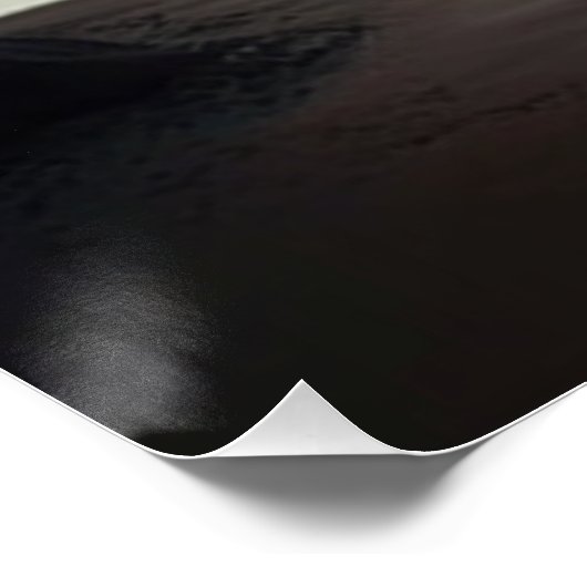 Sunset Shore Perfect Poster (Hoek)