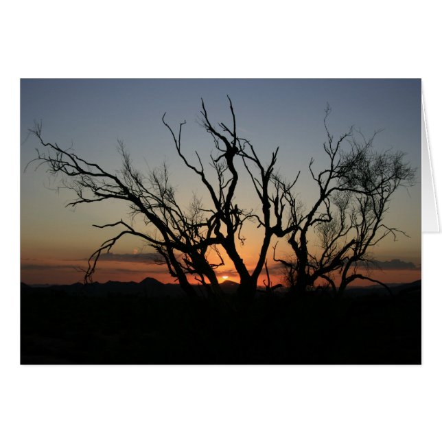 Sunset Silhouette (Voorkant Horizontaal)