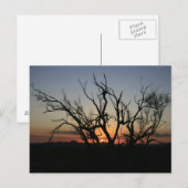Sunset Silhouette Briefkaart (Voorkant / Achterkant)