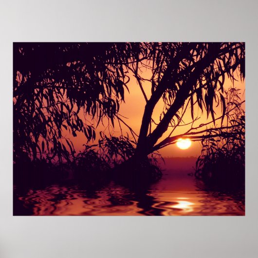 Sunset Silhouette Habitat Poster (Voorkant)