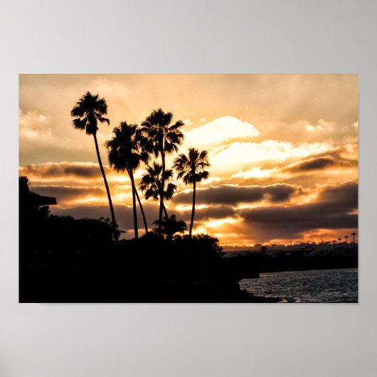 Sunset Silhouette in San Diego Poster (Voorkant)