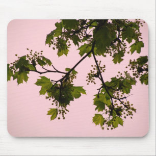 Sunset Silhouette Mousepad Muismat