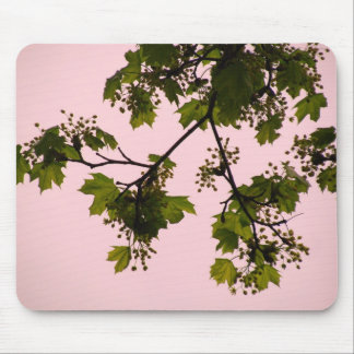 Sunset Silhouette Mousepad Muismat