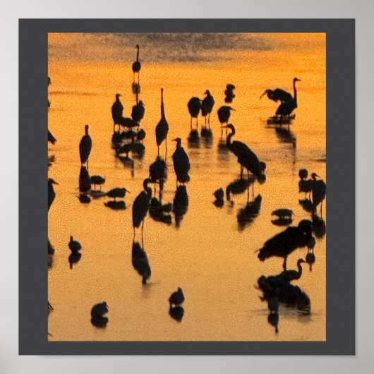 Sunset Silhouette of Birds Poster (Voorkant)