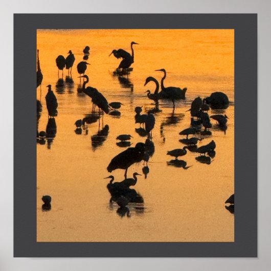 Sunset Silhouette of Birds Poster (Voorkant)