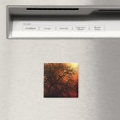 Sunset Silhouette Winter Tree Magneet (Insitu (Vaatwasser))