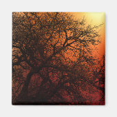 Sunset Silhouette Winter Tree Magneet (Voorkant)