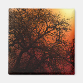 Sunset Silhouette Winter Tree Magneet