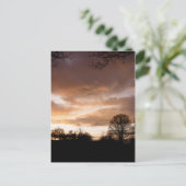 Sunset Silhouettes-bomen Briefkaart (Staand voorkant)