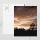 Sunset Silhouettes-bomen Briefkaart (Voorkant / Achterkant)