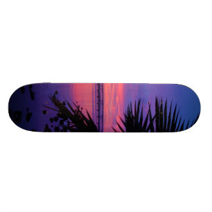 Sunset Skateboard van de Tropische Palm-boom van D