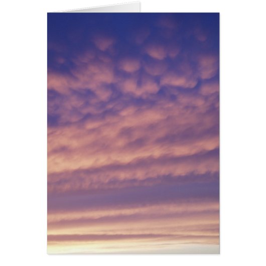 Sunset Sky (Voorkant)