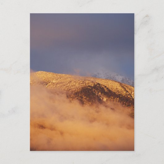 Sunset Snow Mount Bogong Briefkaart (Voorkant)