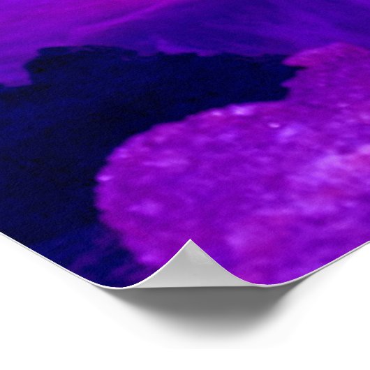 Sunset Splash Poster (Hoek)