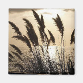 Sunset Square Magnet (Voorkant)