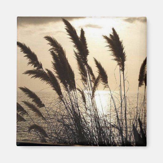 Sunset Square Magnet (Voorkant)