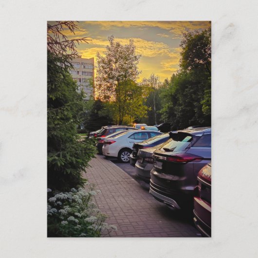 Sunset Stillness Aankondiging Kaart - (Voorkant)