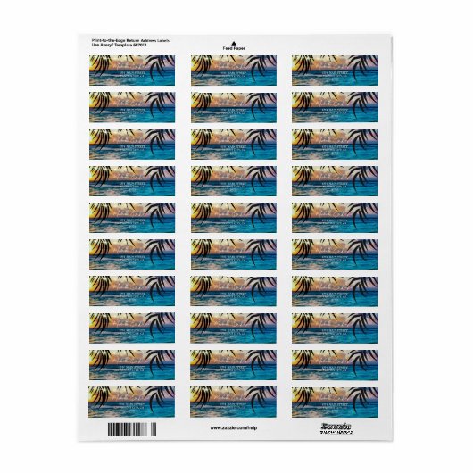 Sunset String Lights Beach Adreslabel Etiket (Full Sheet)