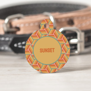 Sunset Stripes Geometrische Retro 3D Box Illusie Huisdierpenning