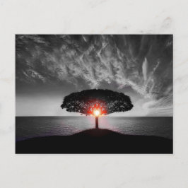 Sunset Sunrise Briefkaart