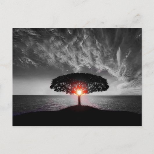 Sunset Sunrise Briefkaart (Voorkant)