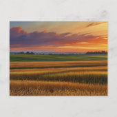 Sunset Sunrise Grain Field Kleurrijke Waterverf Ar Briefkaart (Voorkant)