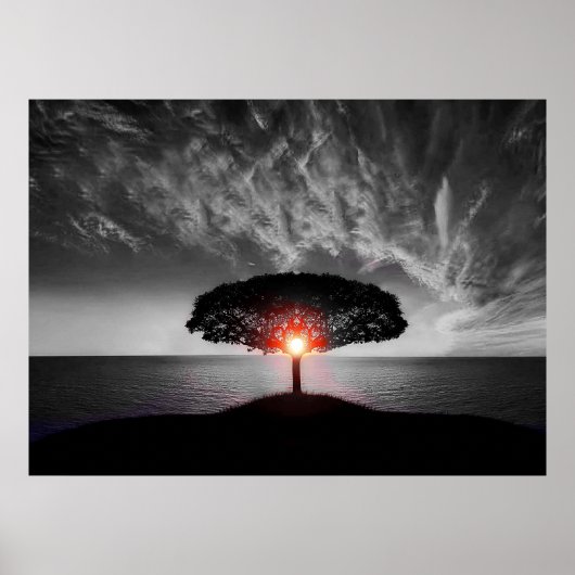 Sunset Sunrise Poster (Voorkant)