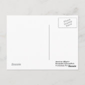 SUNSET SWIM BRIEFKAART (Achterkant)