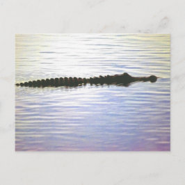 SUNSET SWIM BRIEFKAART