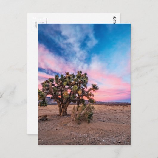 Sunset te Mojave Briefkaart (Voorkant / Achterkant)